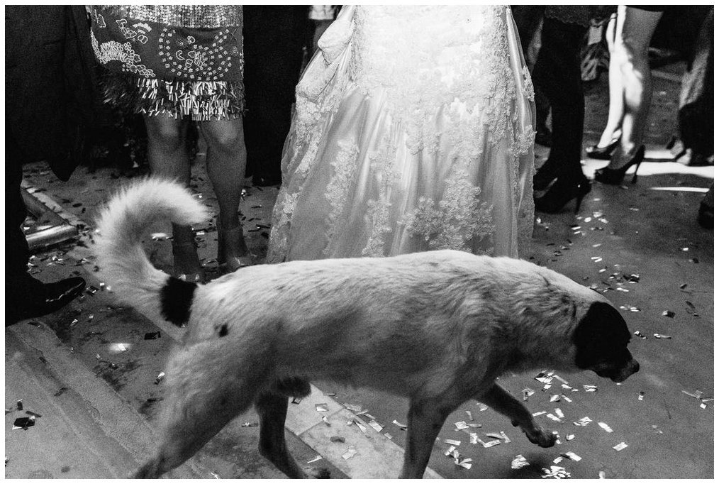 Casamento Clássico em Tiradentes / Vila Paolucci 87 37 casamento vila paolucci tiradentes mg